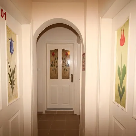 Privatunterkunft Sari Pansiyon