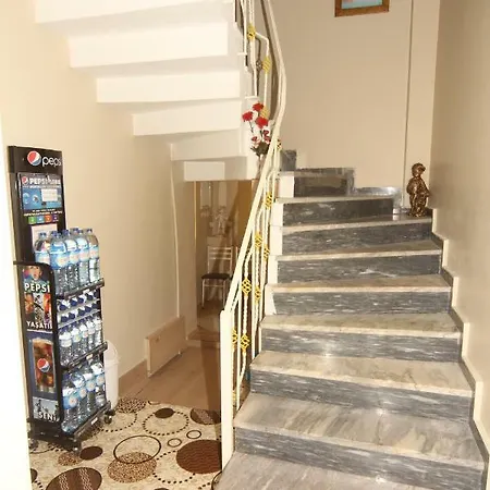 Sari Edirne